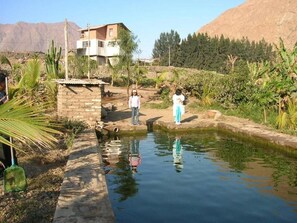 Piscine extérieure