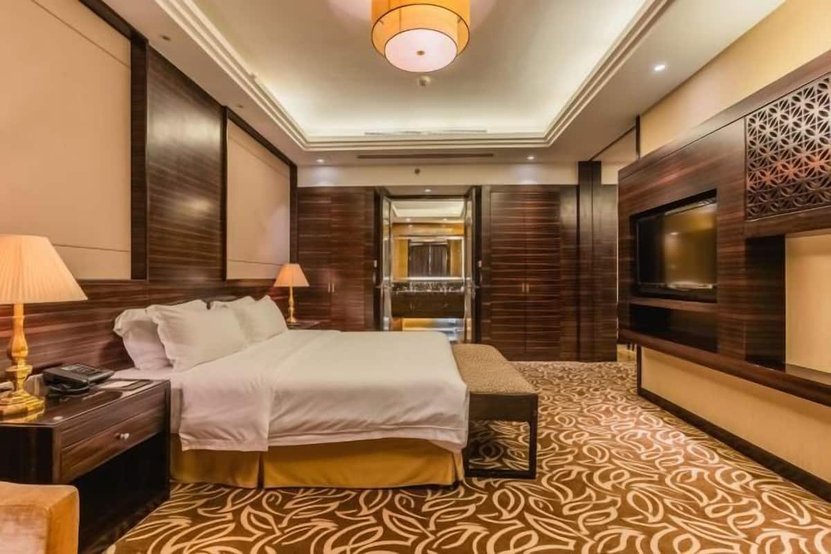 A hotel room with a bed, bedside lamps, a TV, a patterned carpet, and a ceiling light fixture.