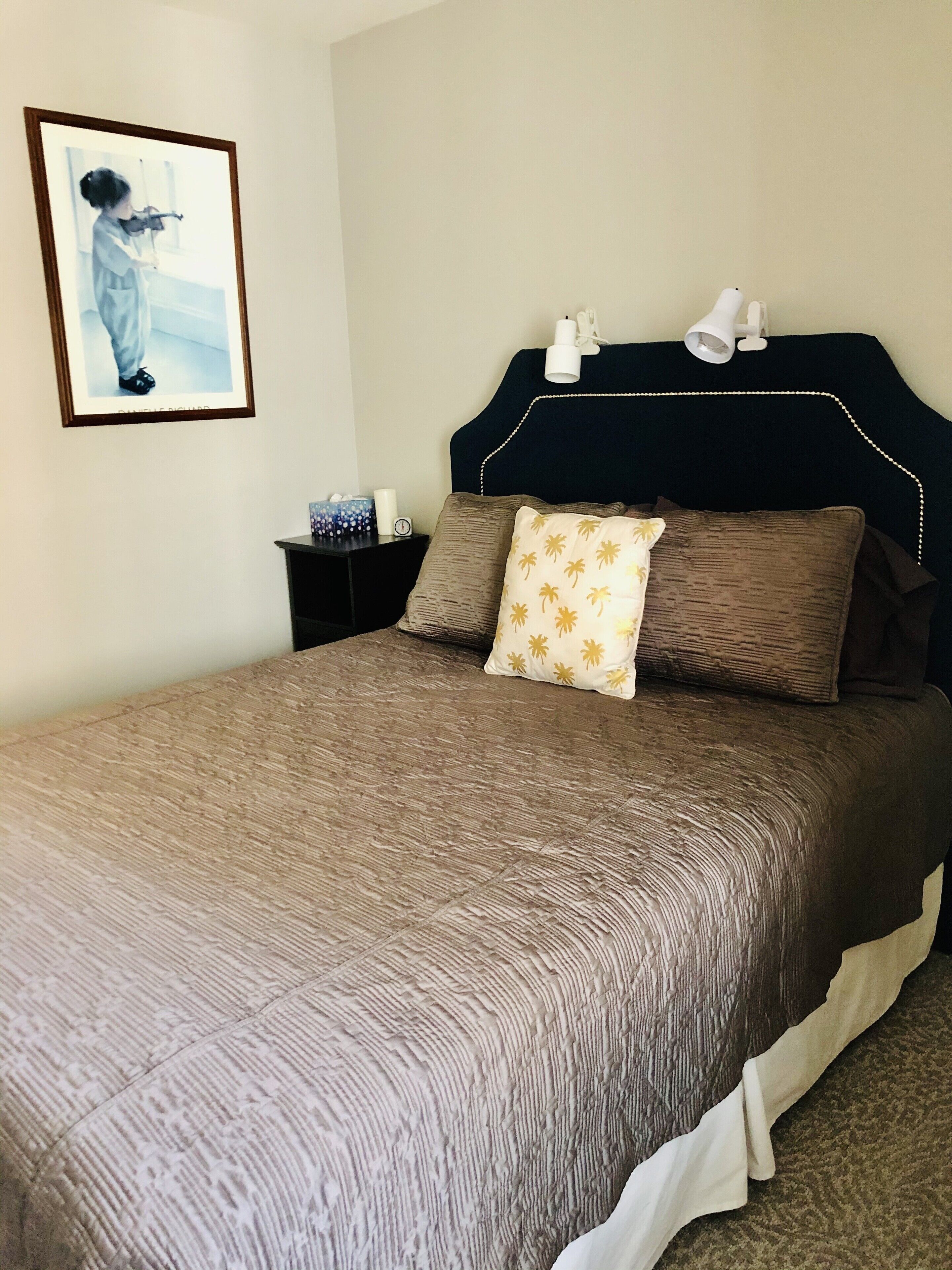 Spotless Pet Friendly Suite in Sooke 