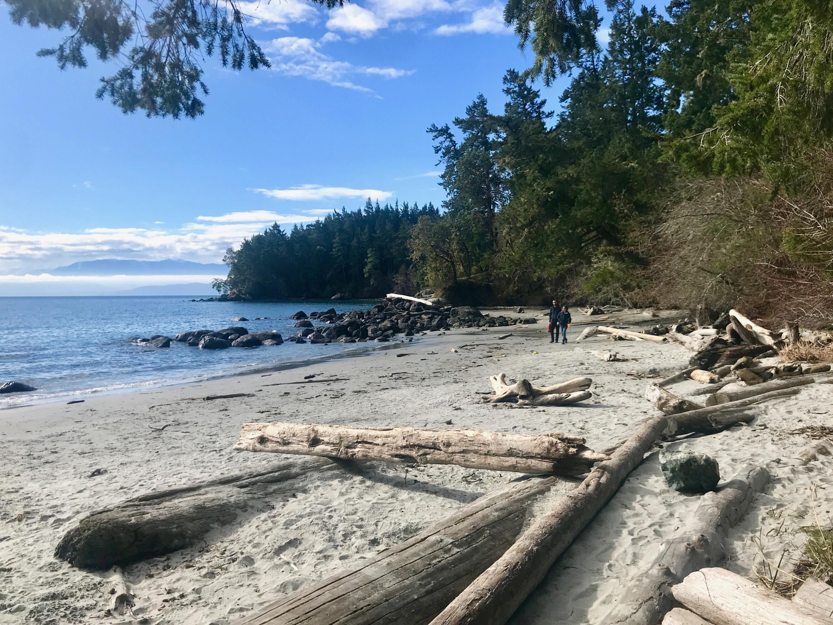 Spotless Pet Friendly Suite in Sooke 
