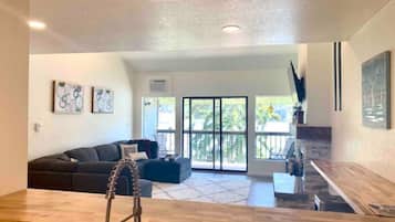 Smart TV, fireplace, books