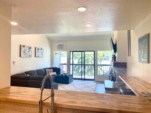 Smart TV, fireplace, books