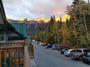 Terrain de l’hébergement 