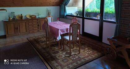 Ferienwohnung im Herzen des Pfälzer Wald
