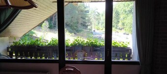 Ferienwohnung im Herzen des Pfälzer Wald