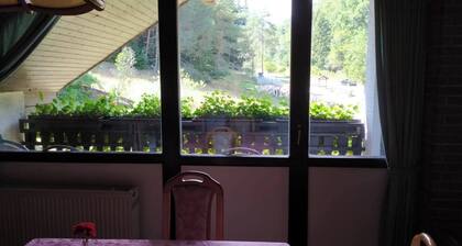 Ferienwohnung im Herzen des PfÀlzer Wald