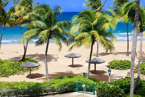 Ein Strand mit Palmen, sandigem Ufer und Sonnenschirmen.