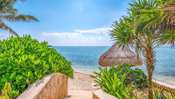 A pathway leading to a beach with a thatched structure and lush greenery. - Penthouse Beachfront Condo with Pool & Panoramic Views (Akumal)