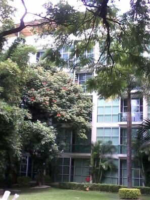 Property grounds