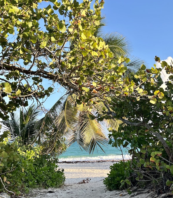Perto da praia, espreguiçadeiras, toalhas de praia