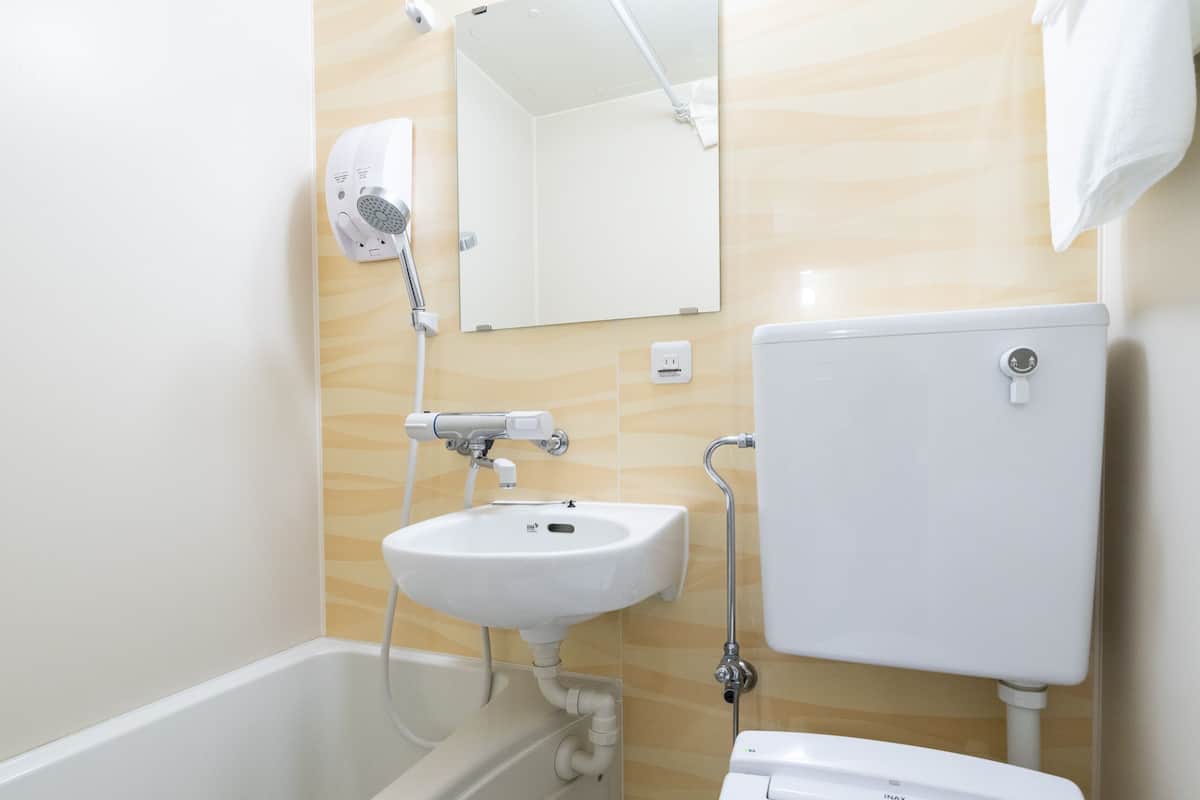 combined shower/bathtub, hair dryer, slippers, electronic bidet