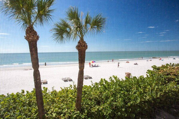On the beach, beach towels, motor boating