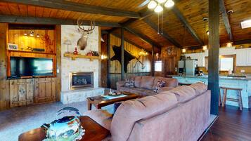 TV, fireplace, DVD player, books