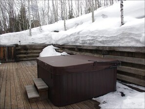 House, Multiple Beds (1068 Faraway Rd) | Spa - 1068 Faraway Rd (Snowmass Village)