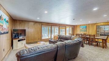 TV, DVD player, books, video library