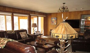 TV, DVD player, books, video library