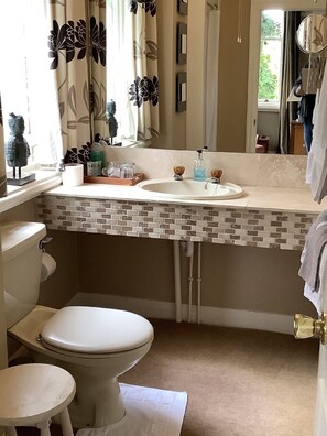 A bathroom with a toilet, sink, and mirror.