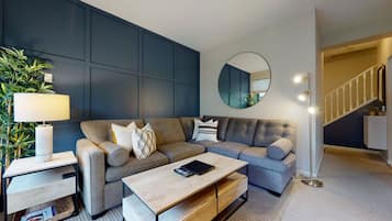 TV, fireplace, books