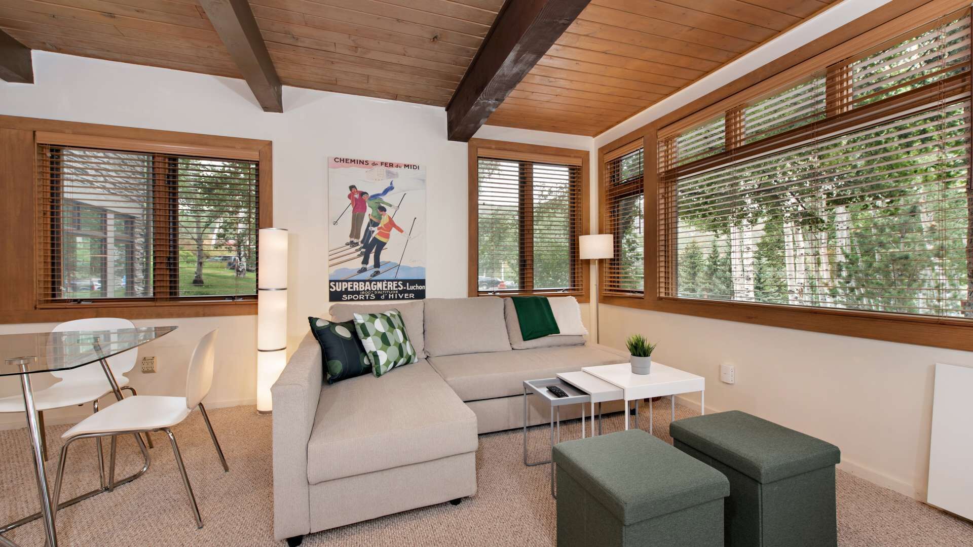 Aspen - Slopeside Condo – Steps to Trails, Restaurants, & More!