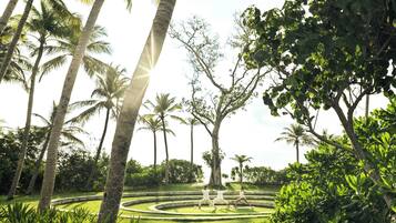A tropical garden with palm trees and a circular stone pathway.