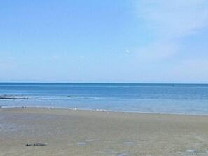 Une plage avec un ciel dégagé et une mer calme.
