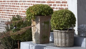 A brick building with a sign reading "Cimbarsaca Bed & Breakfast". There are potted plants and a wicker basket in front. - B&B Cimbarsaca (Gavere)