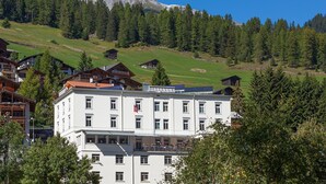 Unclassified image, 2 of 49, button - Boutique Hotel Bellevue Wiesen (Davos)