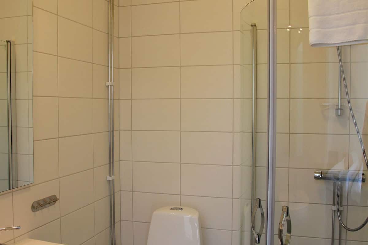 shower, free toiletries, hair dryer