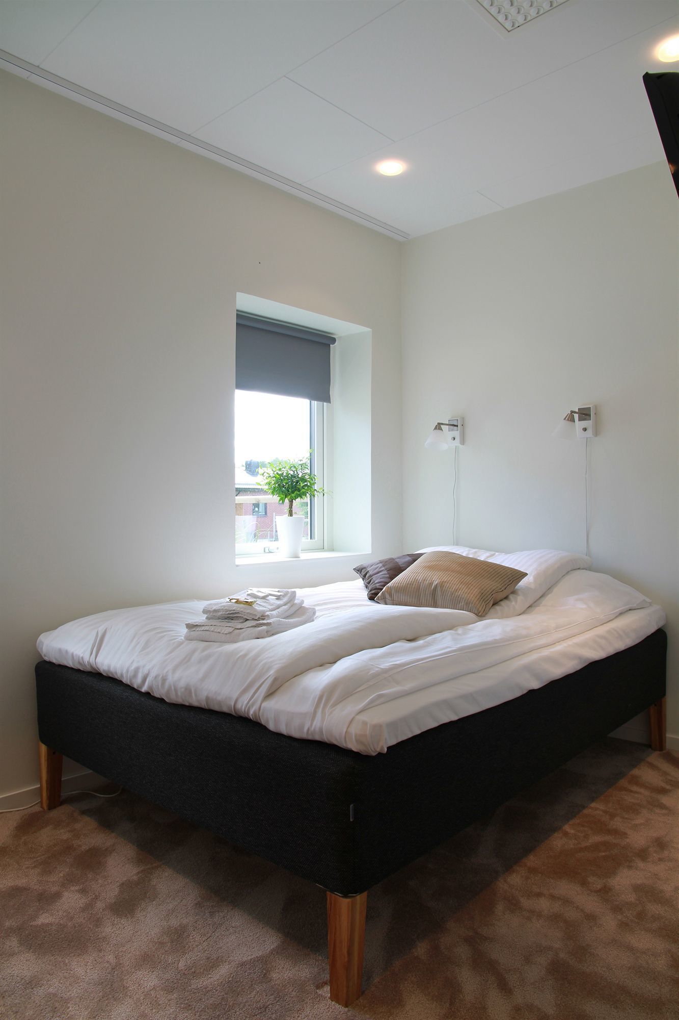 premium bedding, pillow-top beds, individually decorated