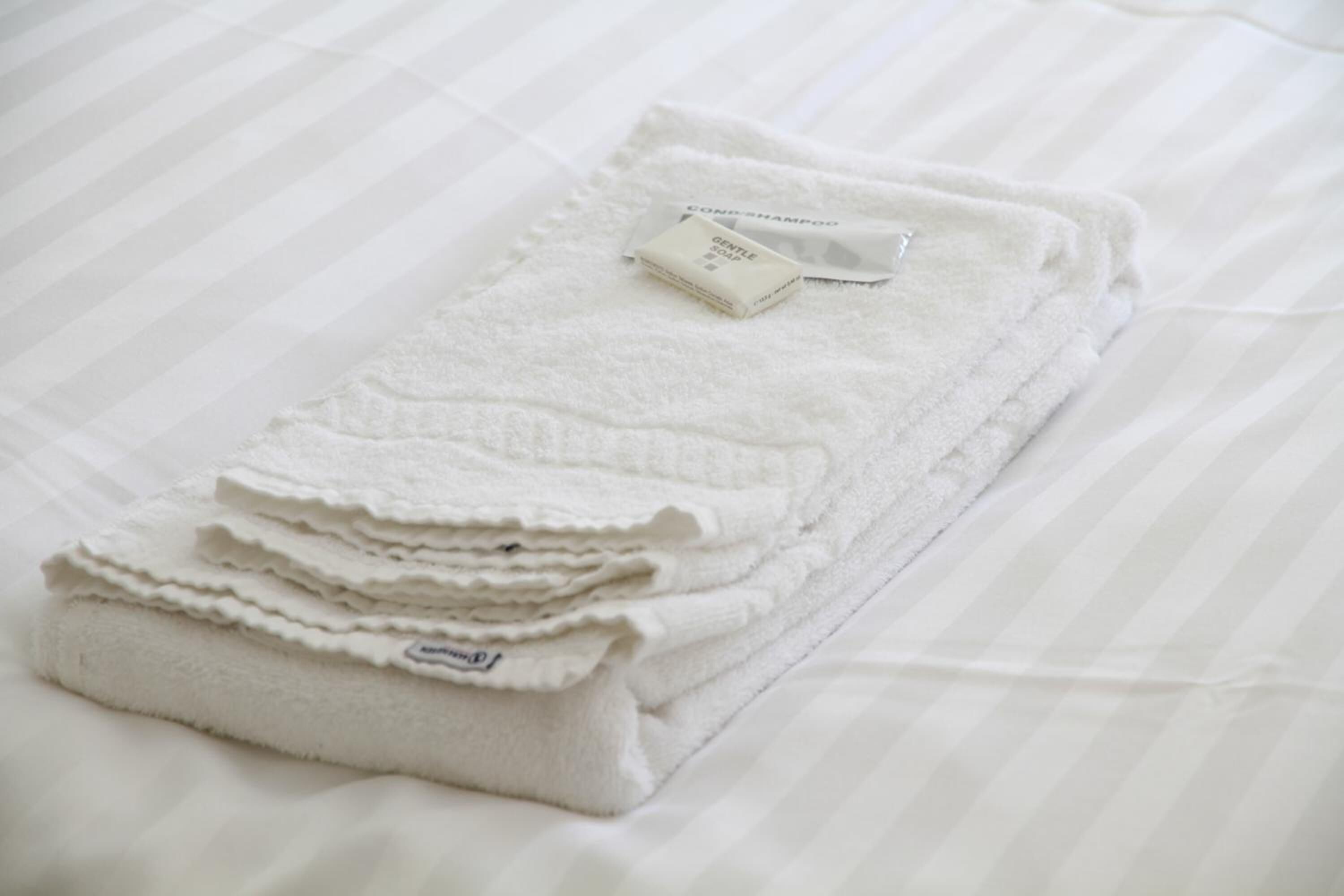 shower, free toiletries, hair dryer