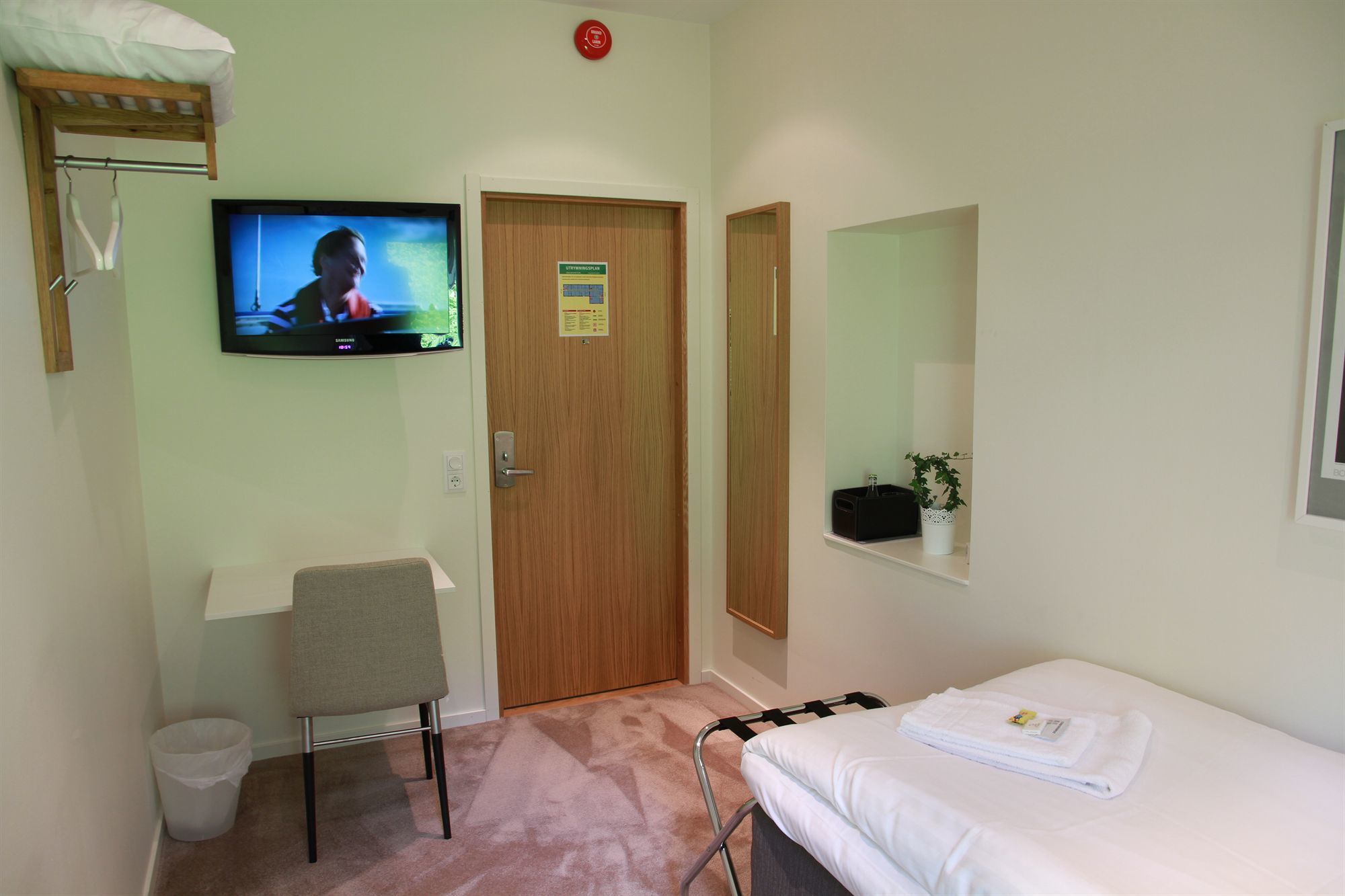 A hotel room with a bed, a chair, a television, a door, a small plant, and a trash bin.