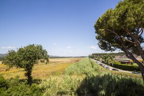 Un paysage rural avec une route, des voitures garées et un bâtiment doté d’un toit végétalisé.