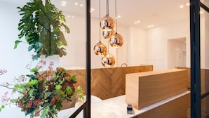 A reception area with a wooden reception desk, a large potted plant, and hanging spherical light fixtures. - Kaai 11 (Antwerp)