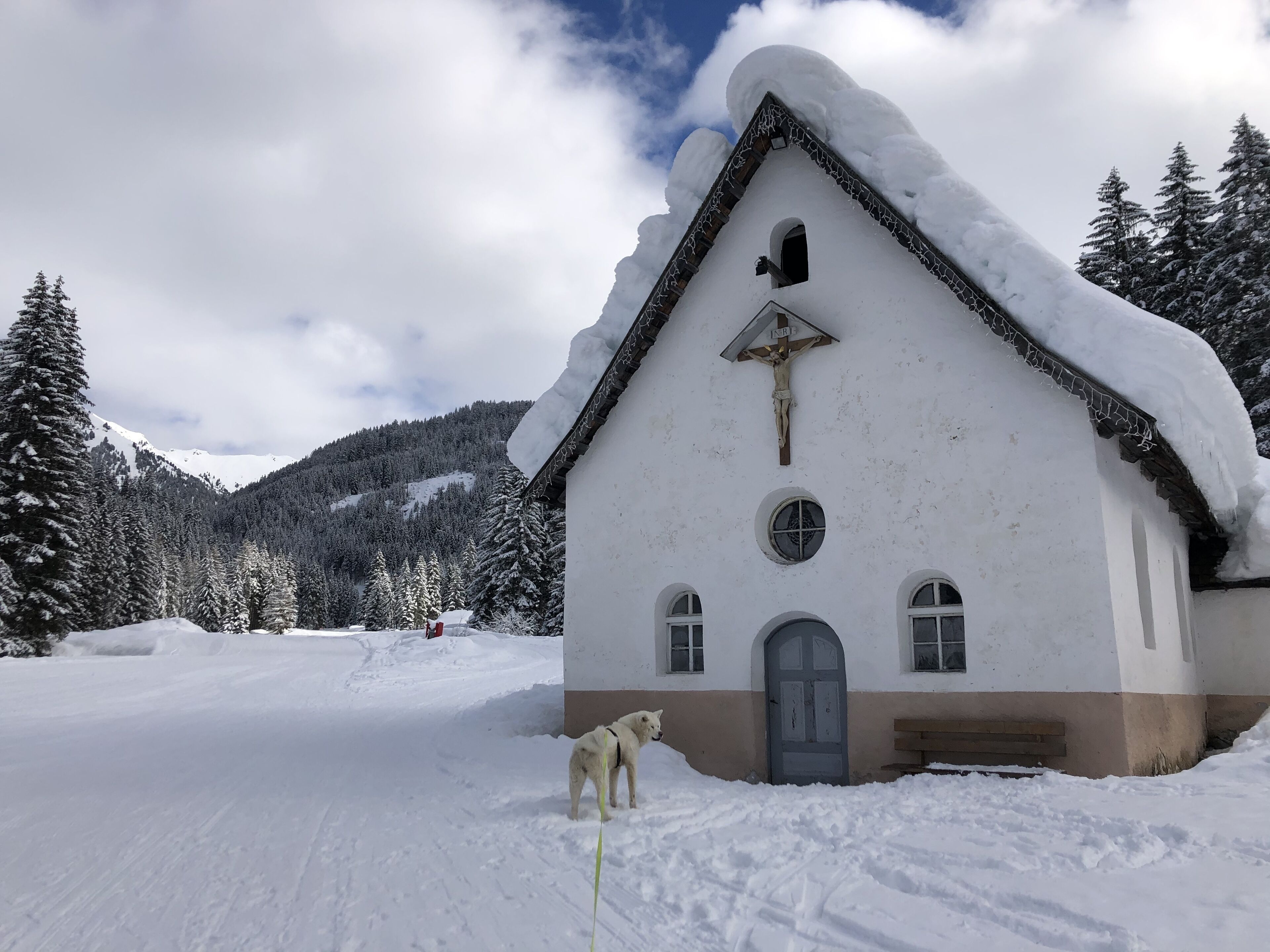 Schneeschuhwandern