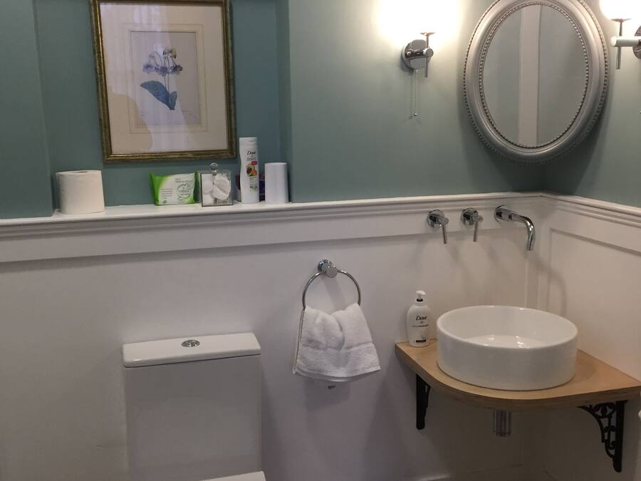 A bathroom with a toilet, sink, mirror, and a framed botanical print on the wall.