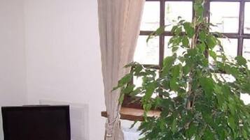 A room with a television on a wooden stand, a window with curtains, and a potted plant.