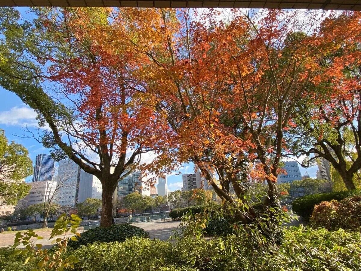 住宿景觀
