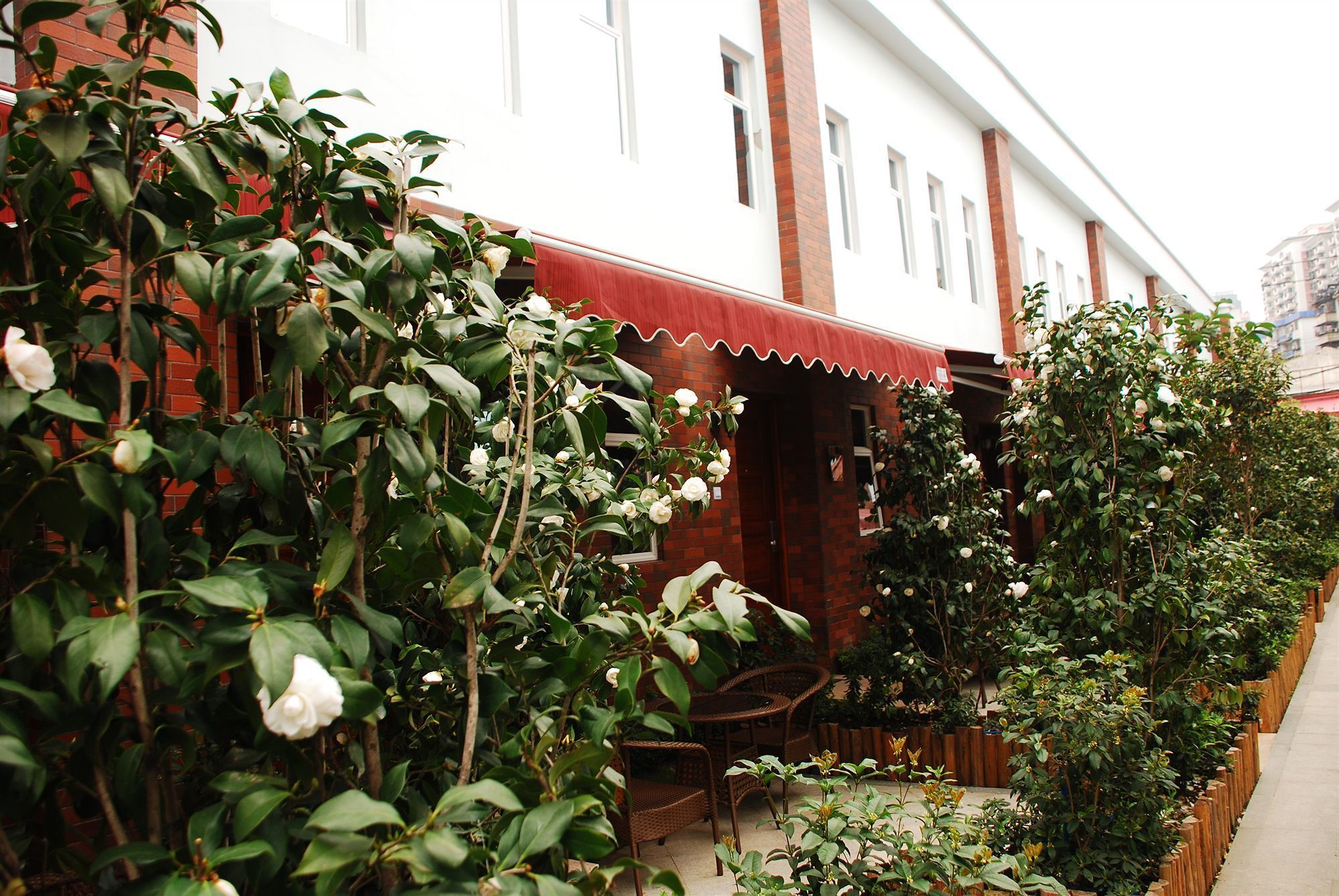 Vistas al jardín