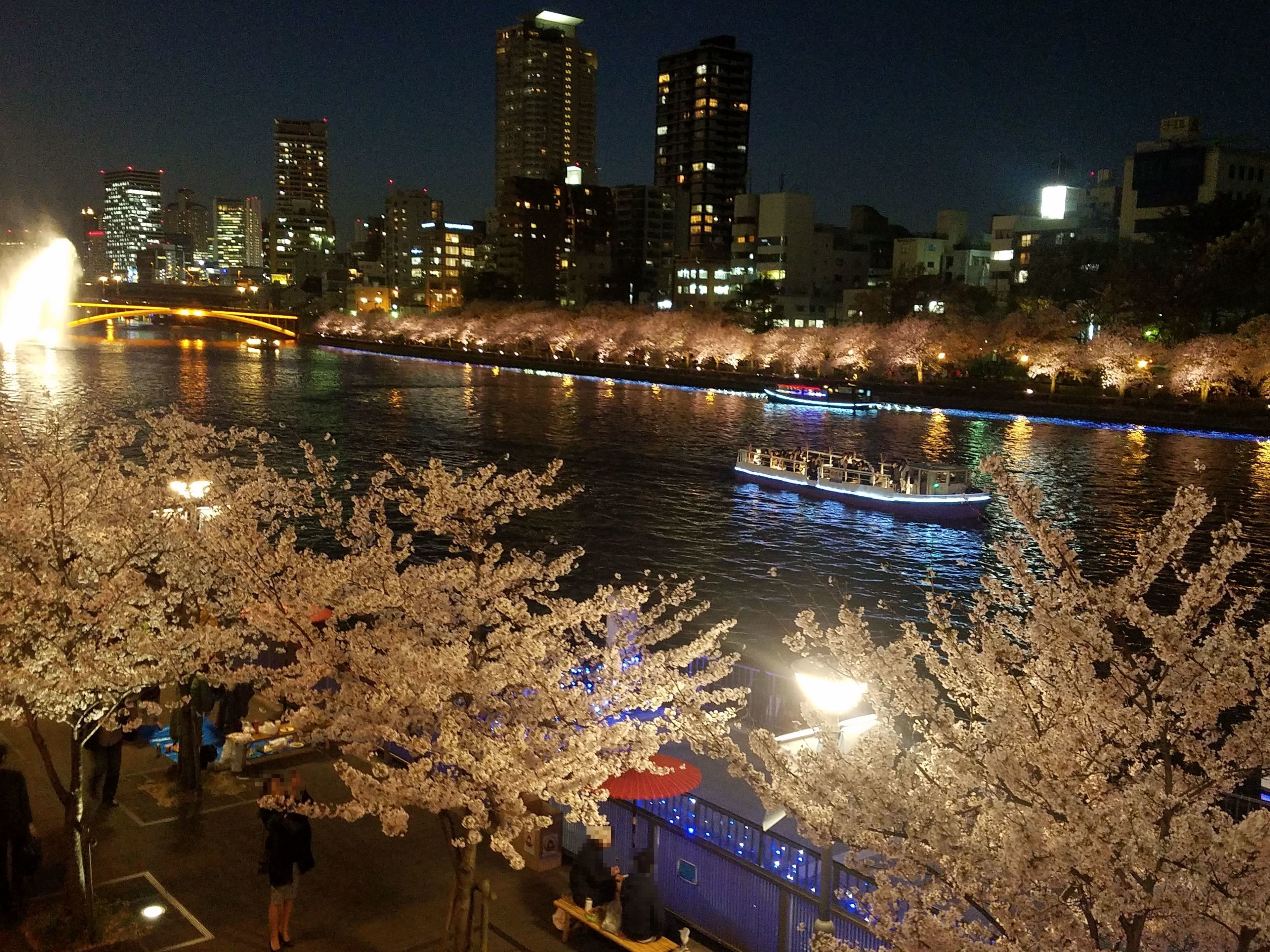 A nighttime view of a river with illuminated buildings in the background and cherry blossoms in the foreground.