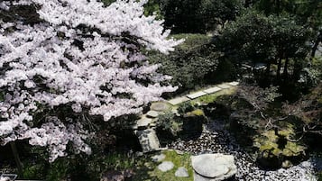 Un chemin de pierres qui traverse un jardin où l’on peut admirer des cerisiers en fleurs et un étang.