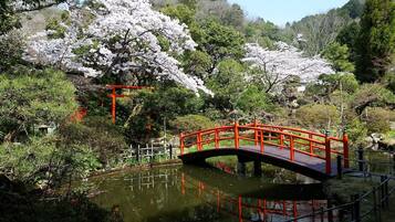 A bridge over a pond with cherry blossoms and a red torii gate in a garden.