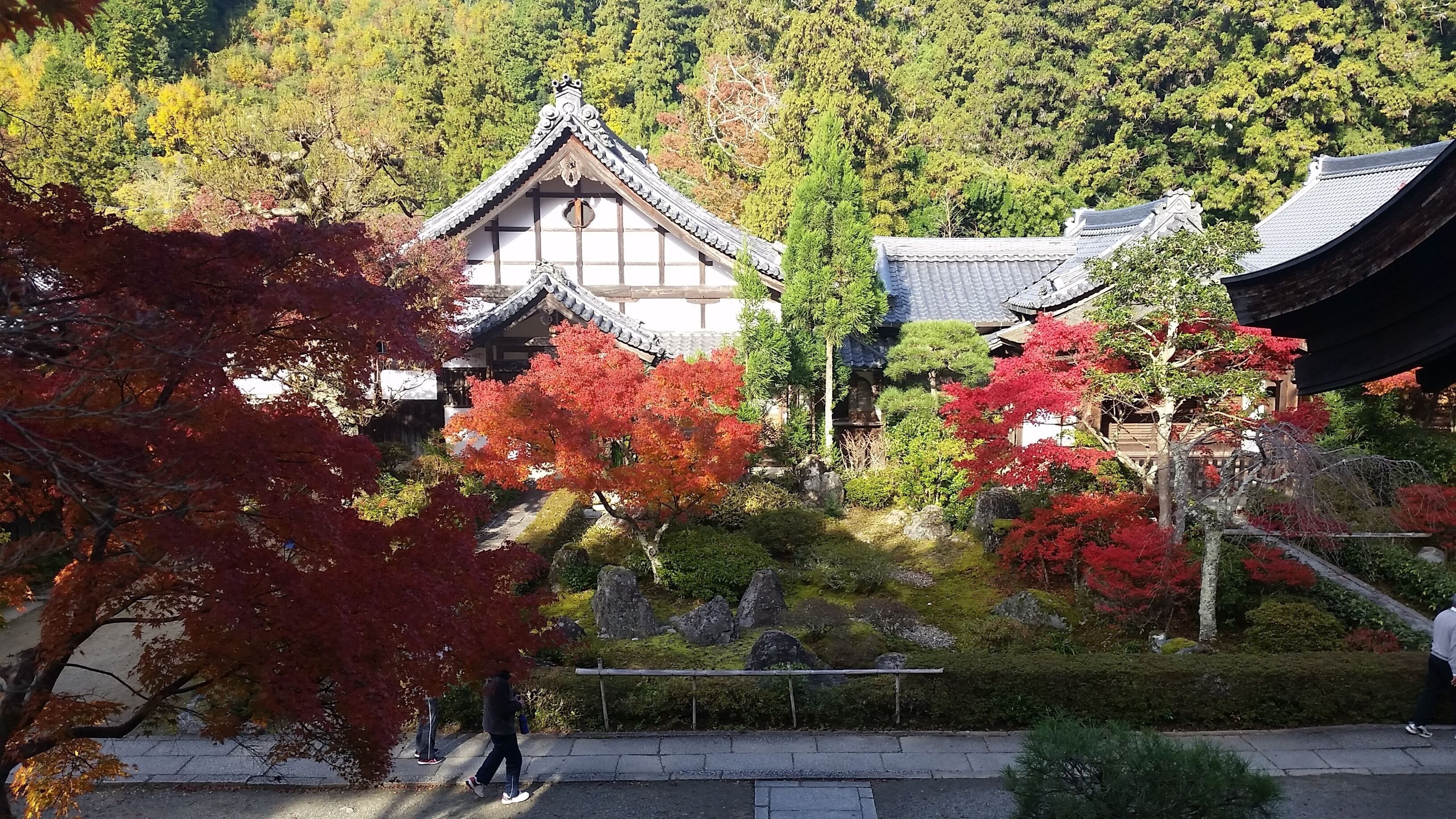 Un edificio japonés tradicional con tejado de tejas, rodeado de follaje otoñal y un camino de piedra.