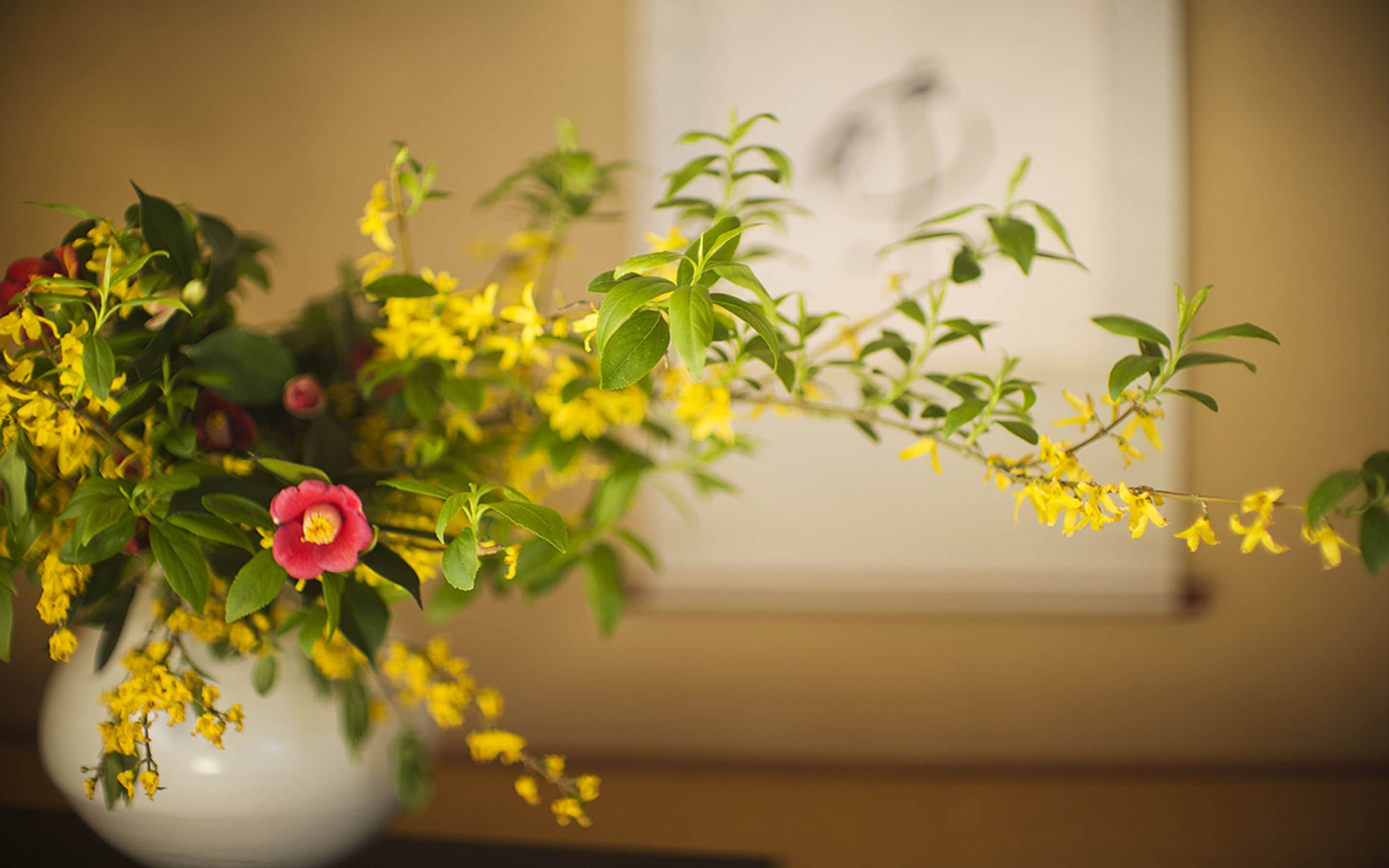 Un vase avec des fleurs jaunes et une seule fleur rouge.