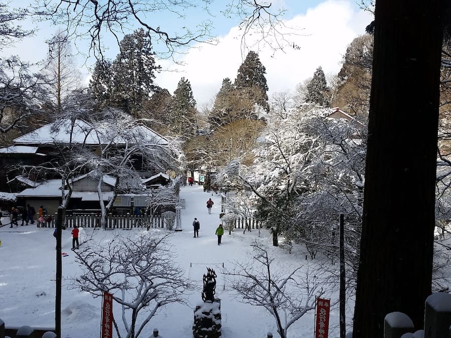 Un sendero cubierto de nieve que lleva a un edificio tradicional con tejado inclinado.