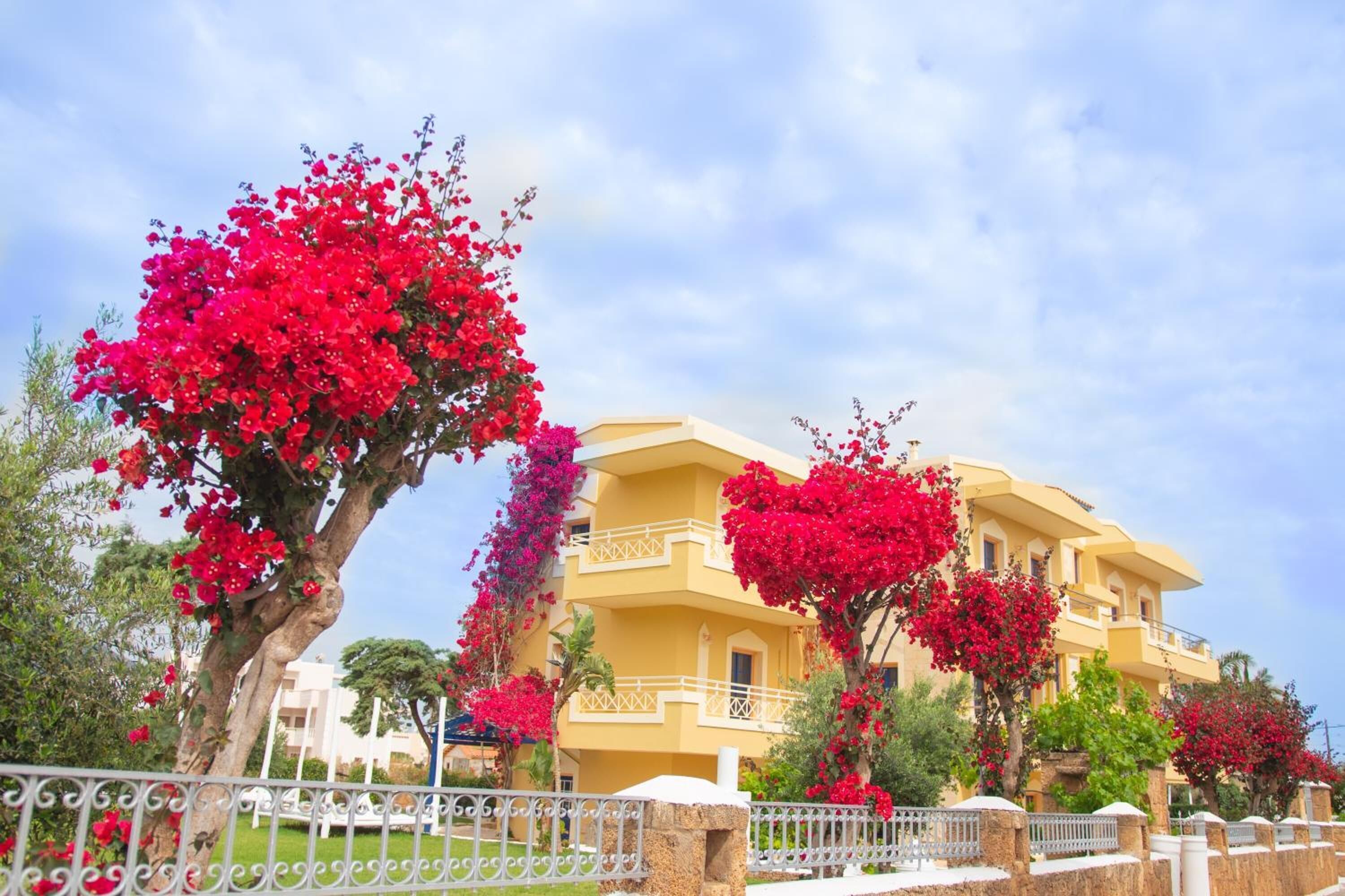 Foto - Parthenis Hotel & Suites