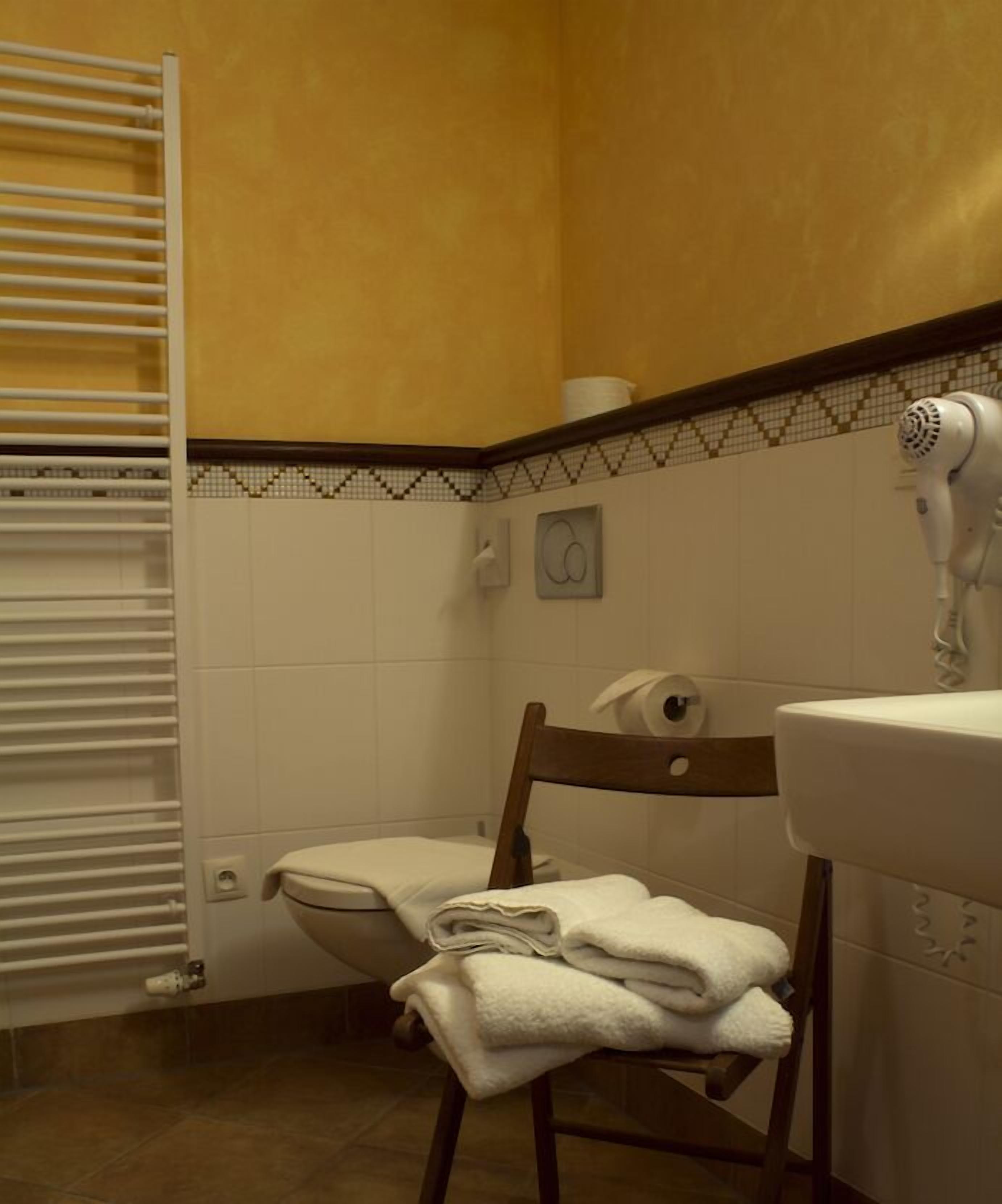 combined shower/bathtub, free toiletries, hair dryer, towels