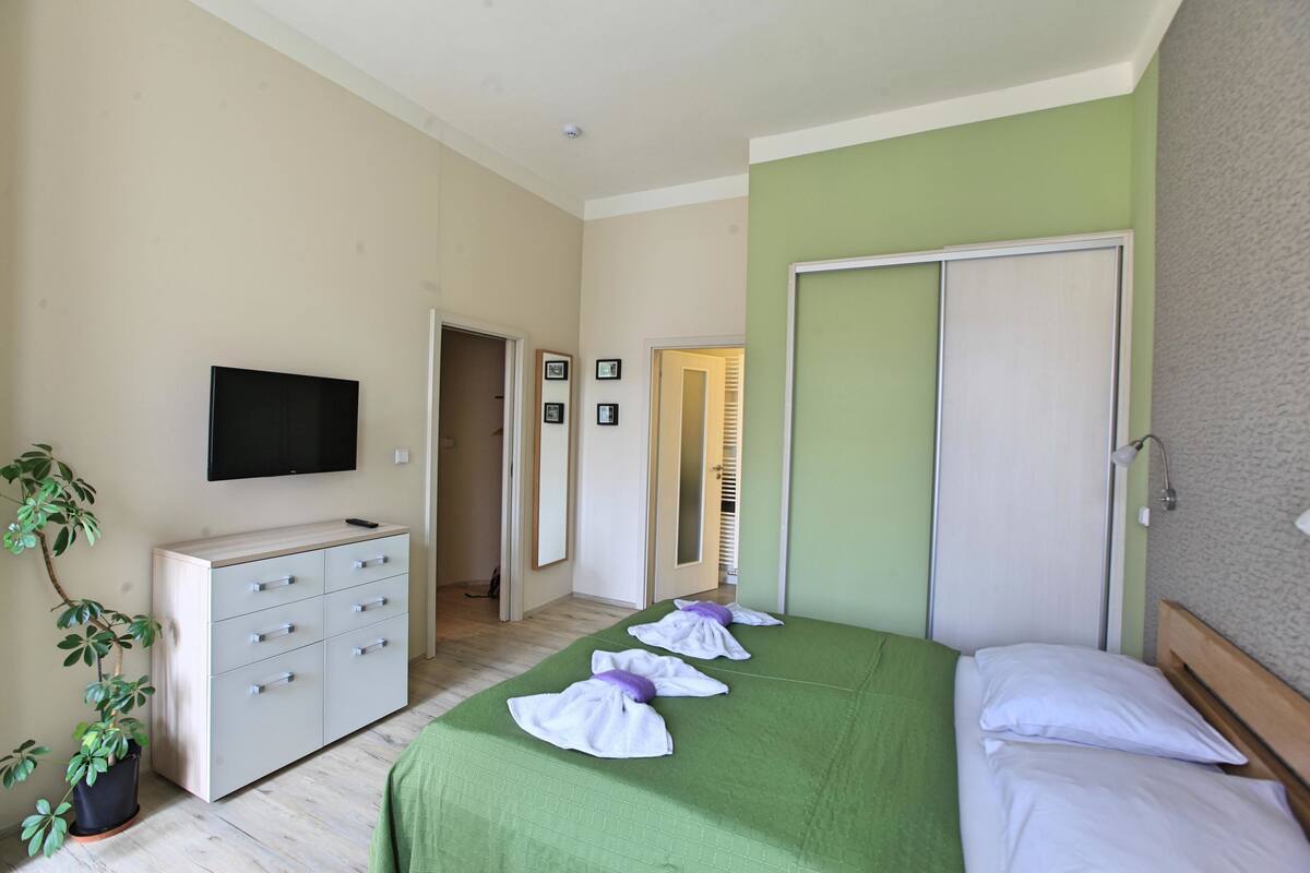 A hotel room with a bed, a dresser, a television, and a potted plant.
