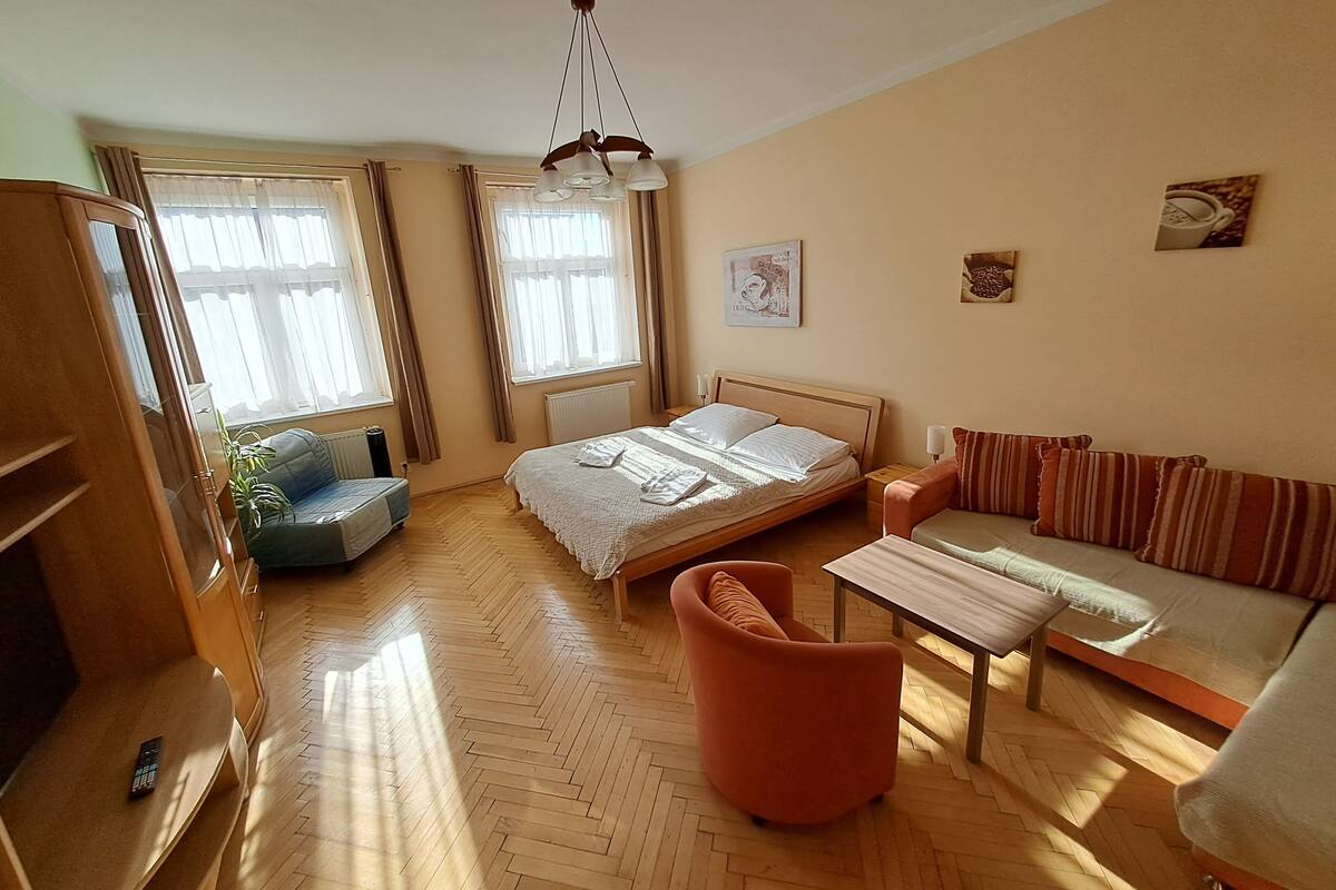 A well-lit room with a bed, a sofa, a chair, and a table. There are windows with curtains, a radiator, and a ceiling light fixture.