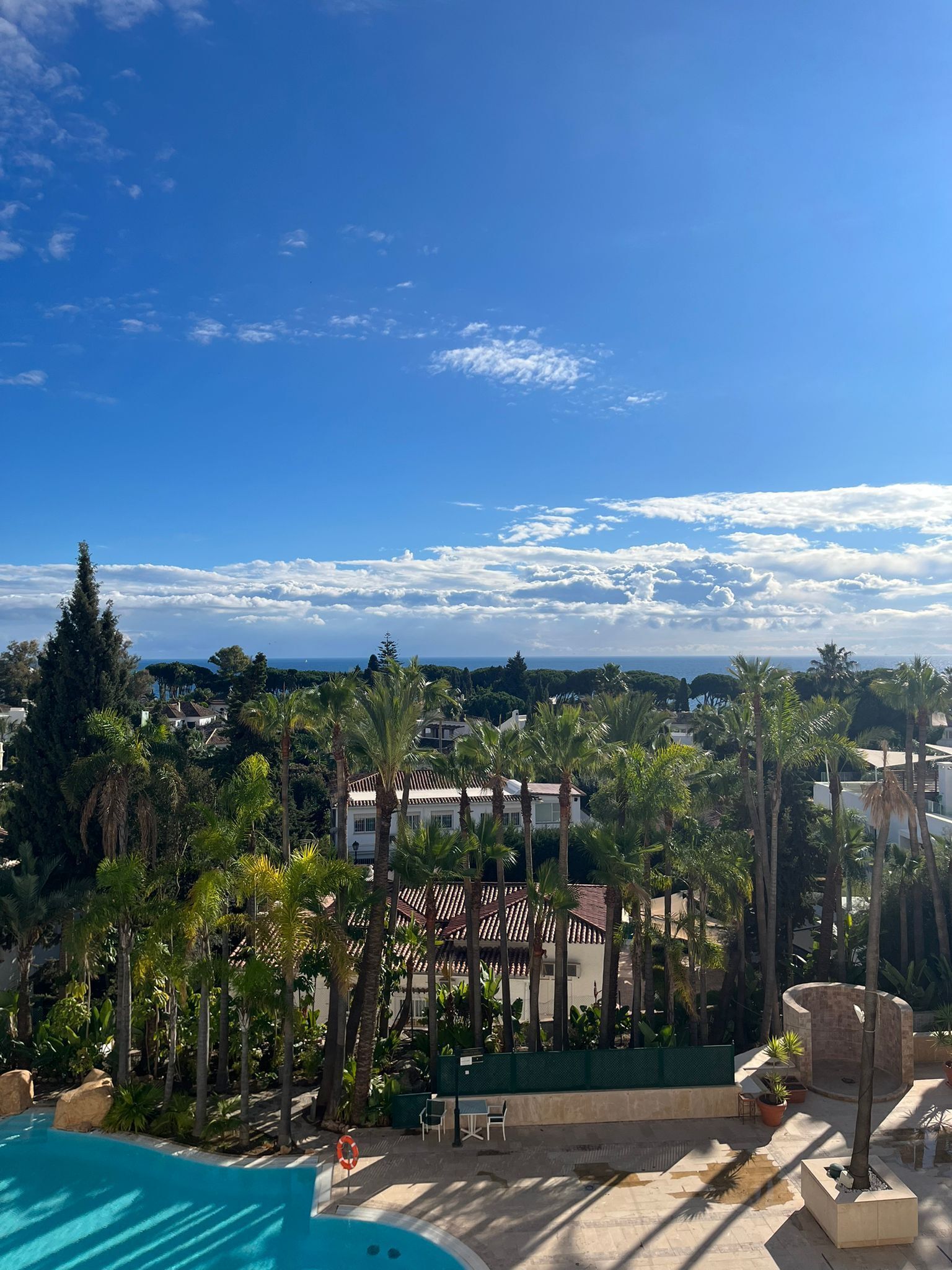A pool area with a view of a coastal town, surrounded by palm trees and a clear sky.