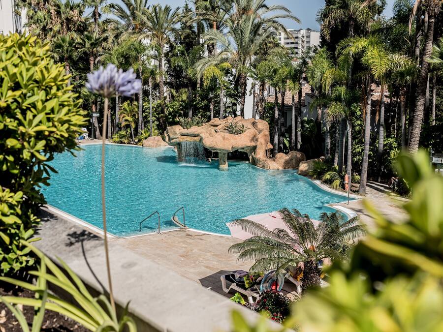 Outdoor pool, pool umbrellas, sun loungers